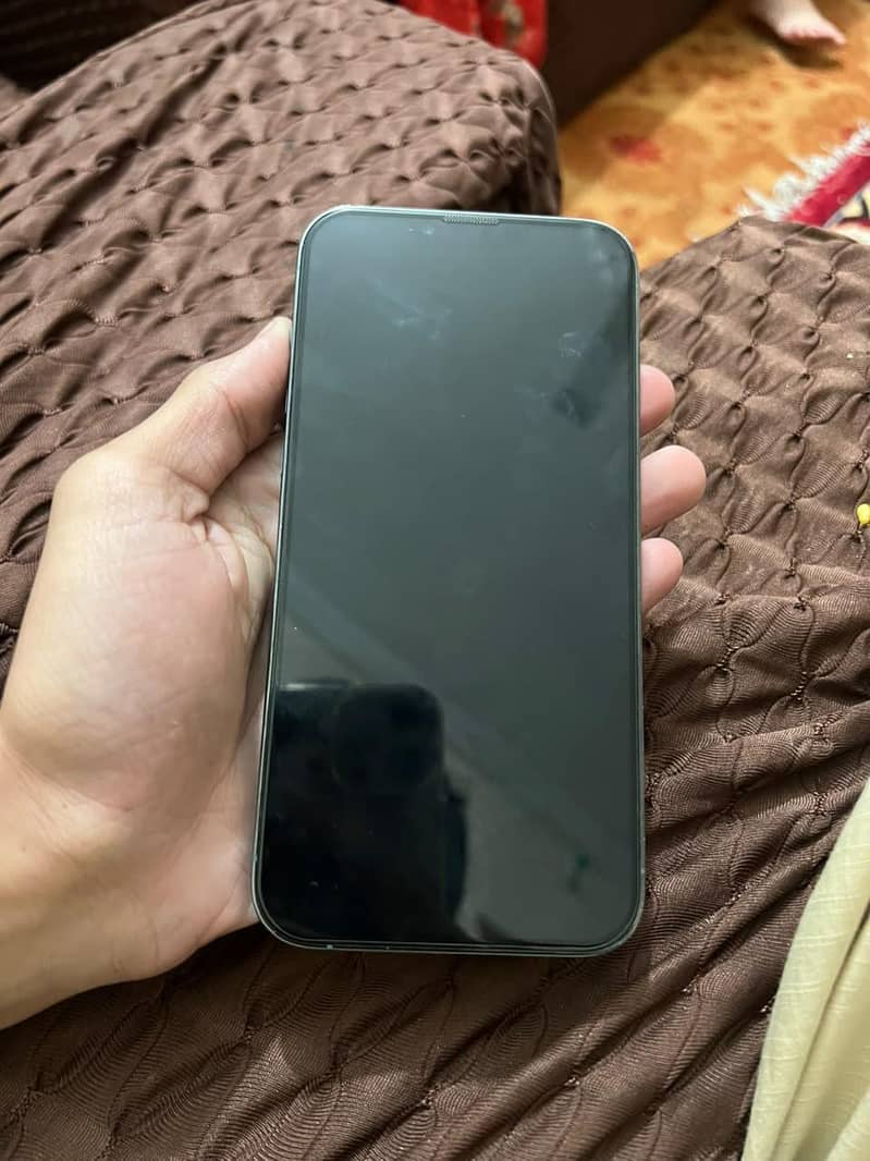 Apple iPhone 13 Pro Max 1