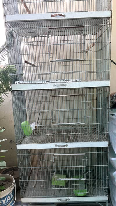 Love birds cage