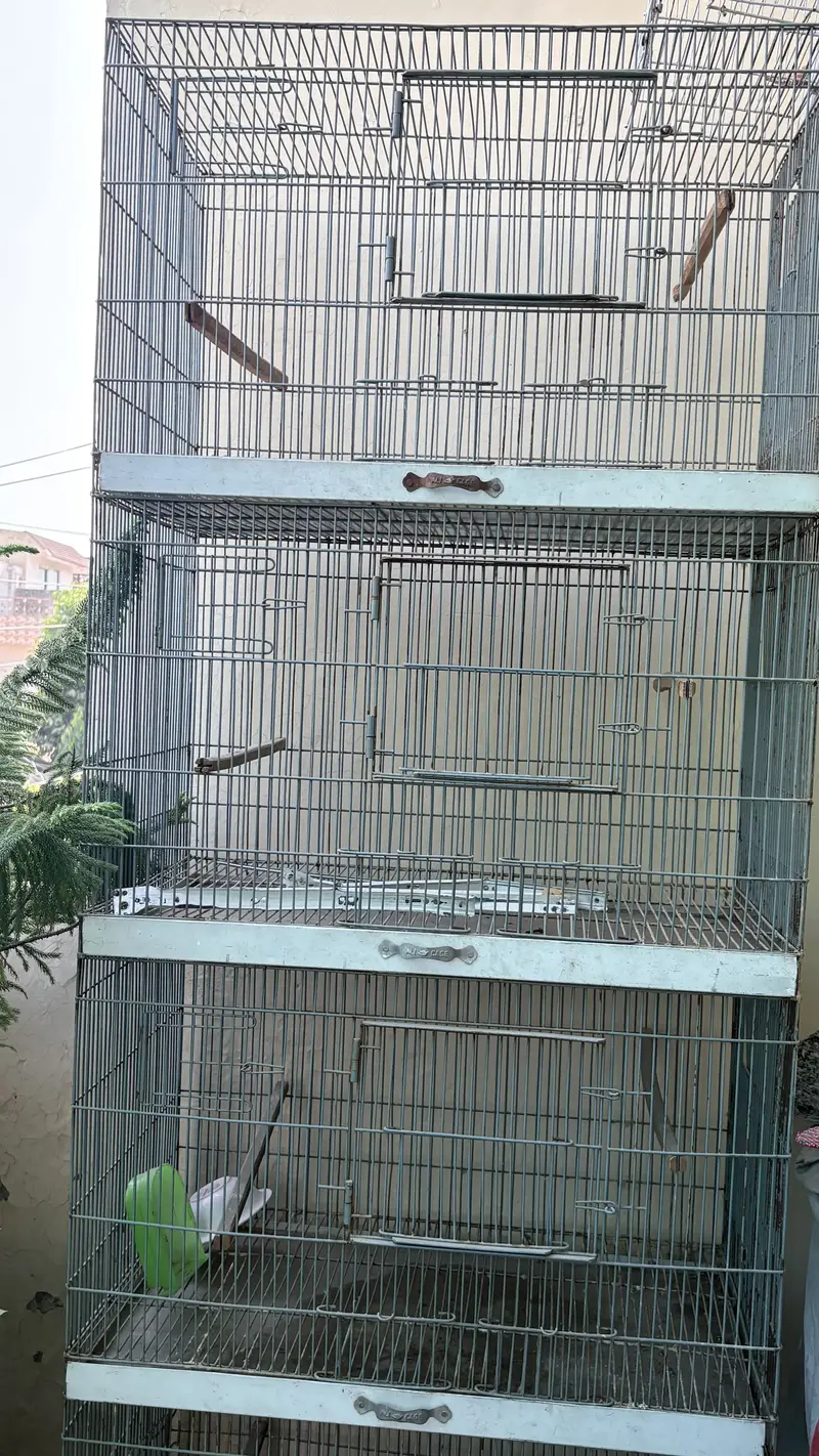 Love birds cage — photo 2