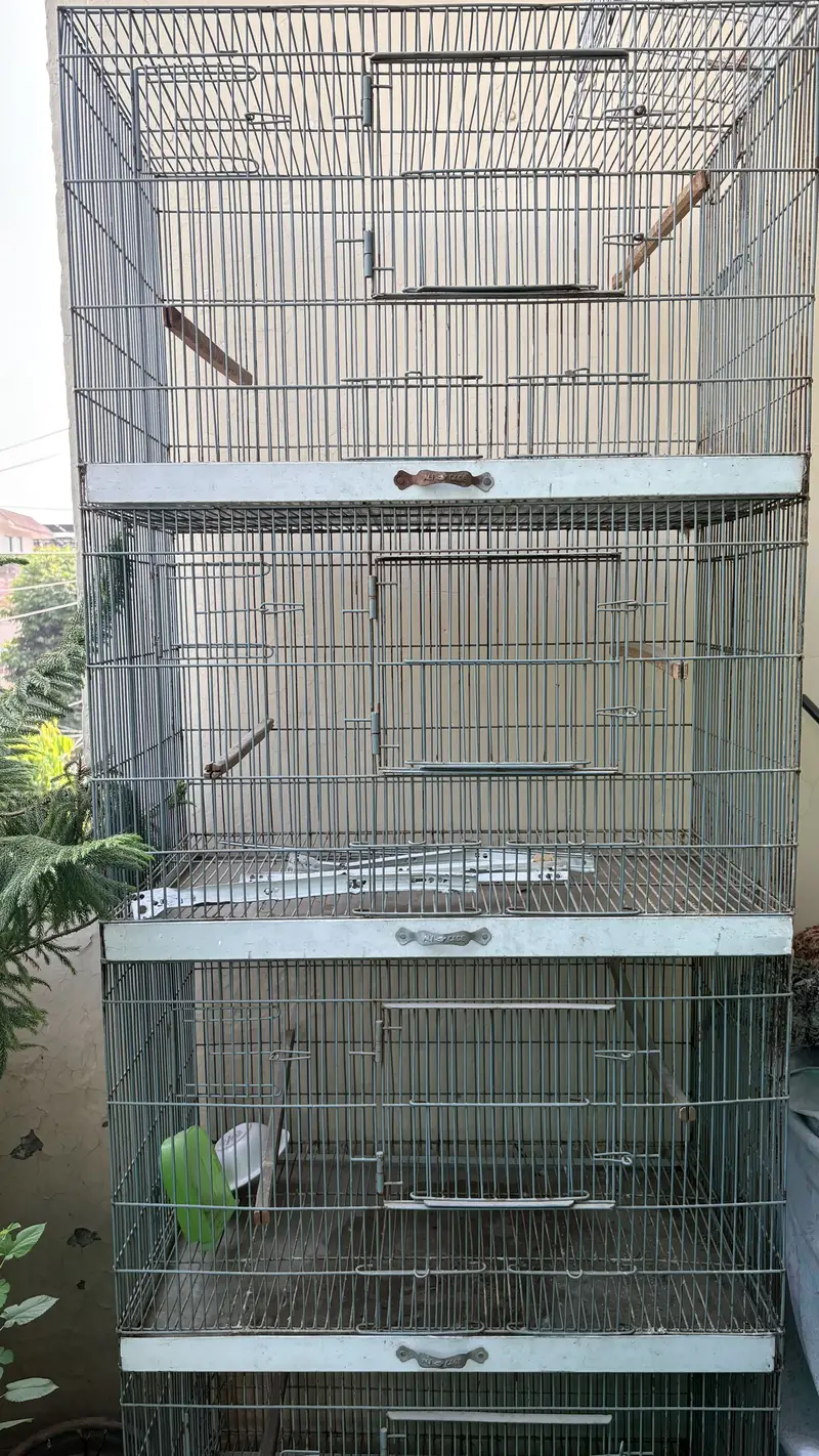 Love birds cage — photo 3