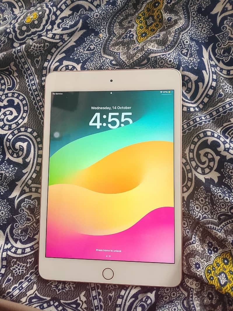 i pad mini 5 1