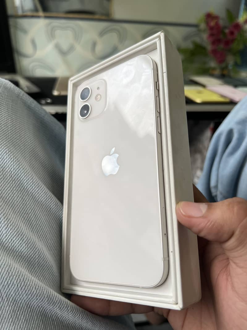 Apple iPhone 12 1