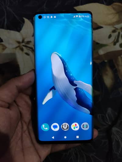 Moto edge plus