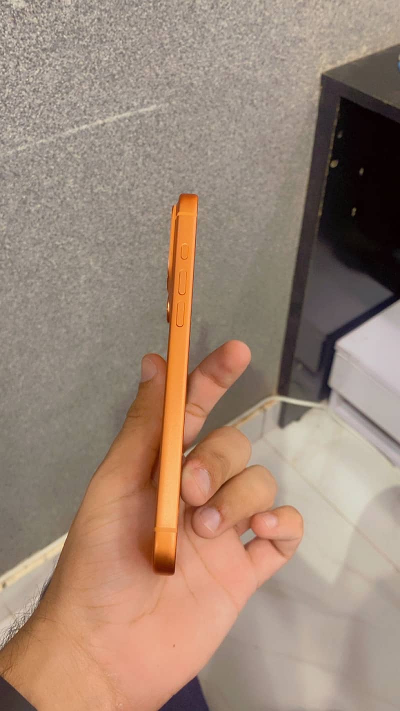 Apple iPhone 17 Pro Max 1
