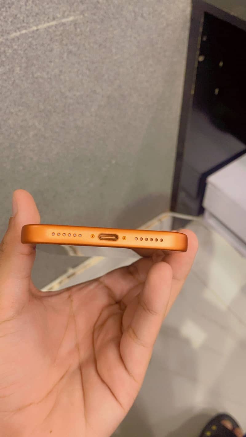 Apple iPhone 17 Pro Max 3