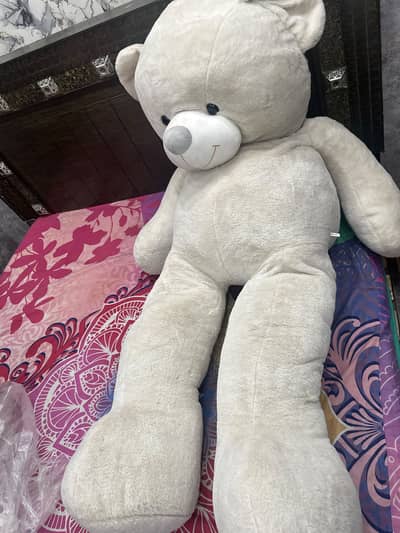 Brand new Teddy bear