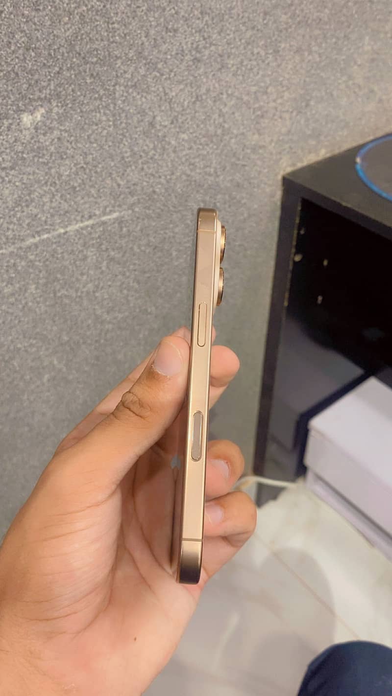 Apple iPhone 16 Pro 1