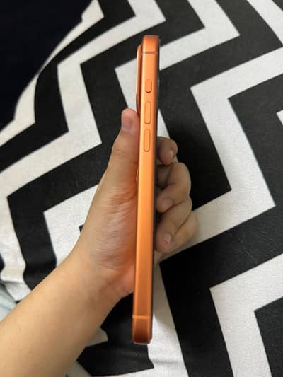 iPhone 17 Pro Max non pta fu