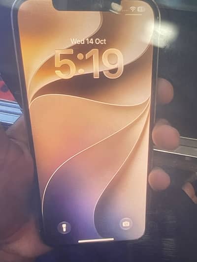 Apple iPhone 12 Pro Max