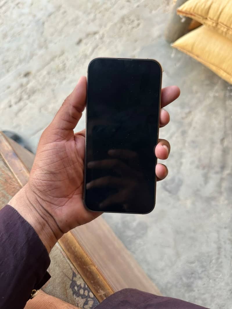 Apple iPhone 16 Pro Max 2