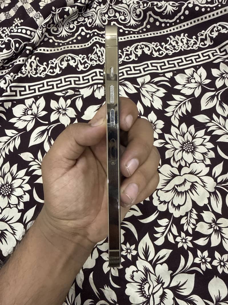 Apple iPhone 13 Pro Max 1