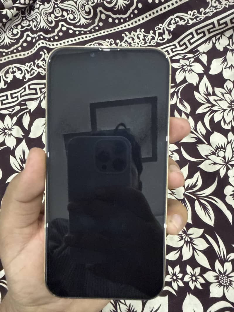 Apple iPhone 13 Pro Max 2
