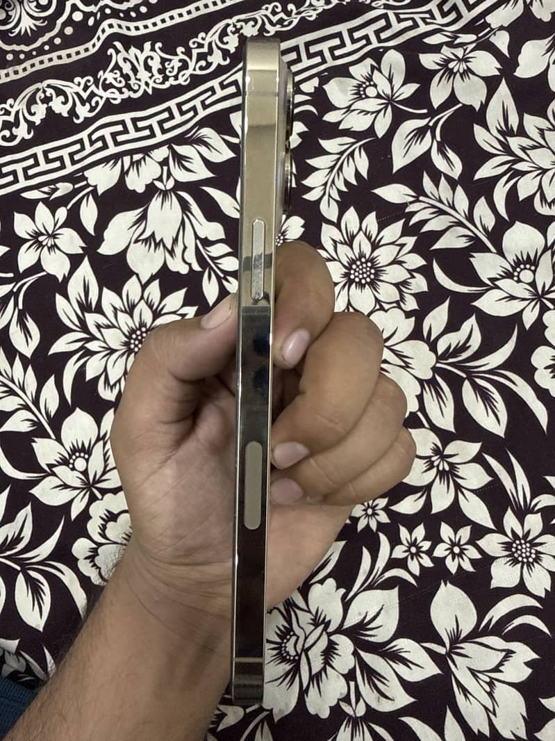 Apple iPhone 13 Pro Max 3