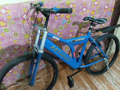 Good condition cycle size 24