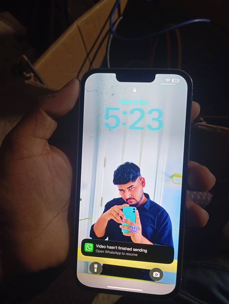 Apple iPhone 13 Pro Max 6