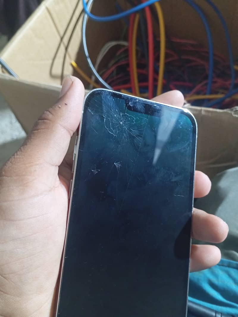 Apple iPhone 13 Pro Max 7