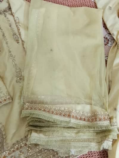 trending sharara for wedding