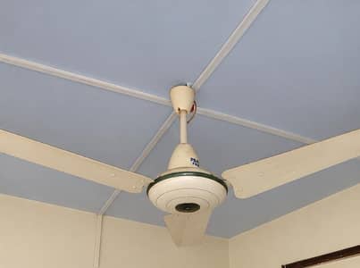 Pak Fans Ceiling Fan – Fully Working, Excellent Condition (negotiable)