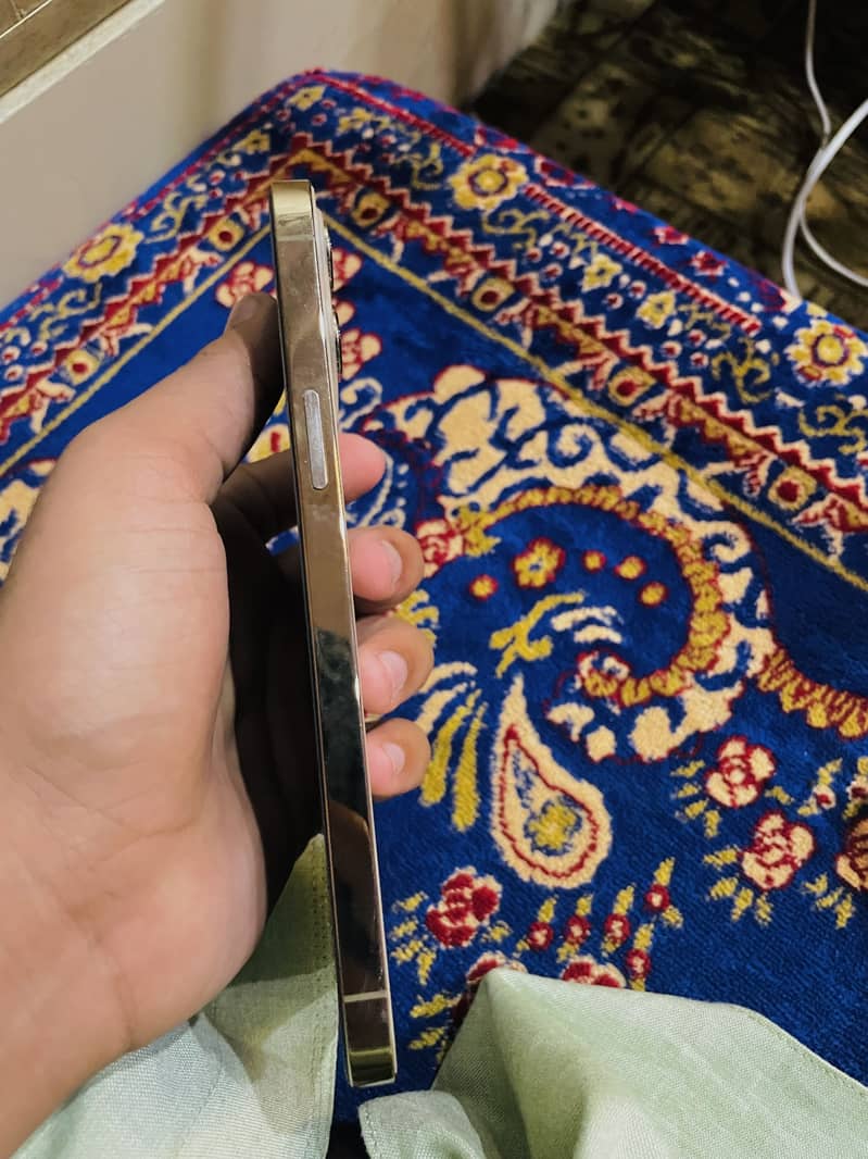 Apple iPhone 12 Pro Max 2