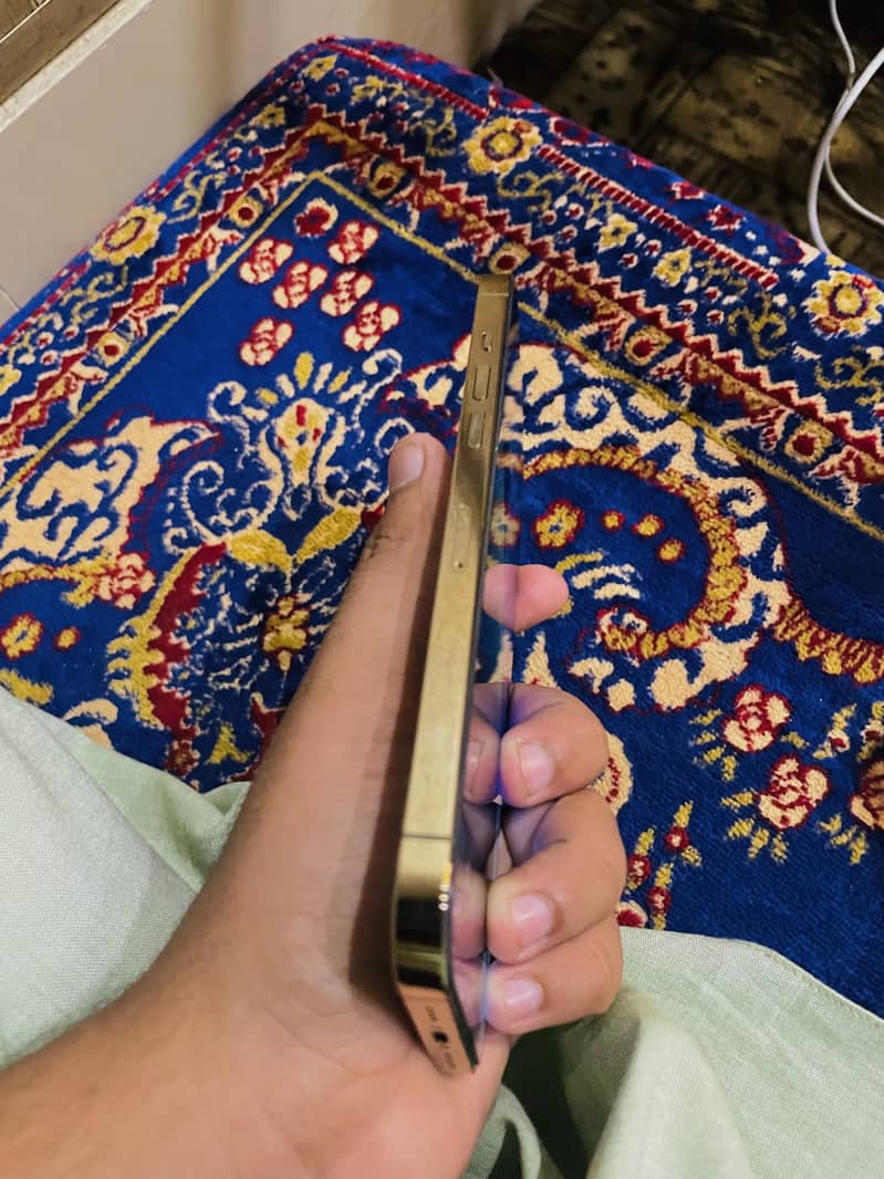 Apple iPhone 12 Pro Max 4