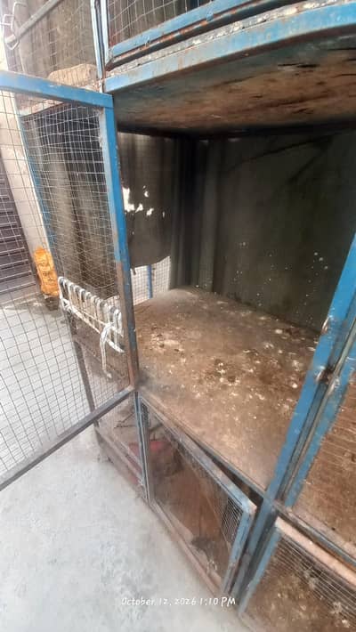 birds cage