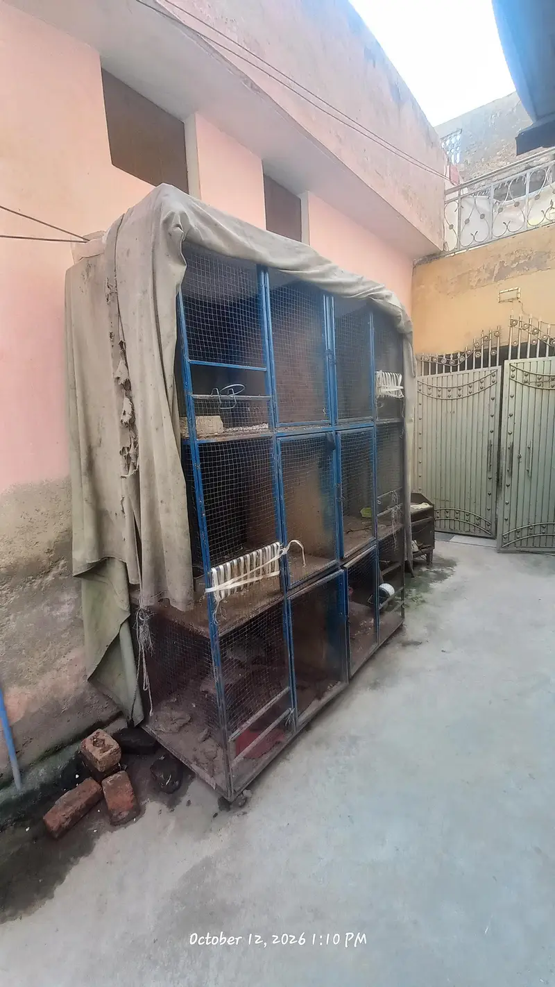 birds cage — photo 4