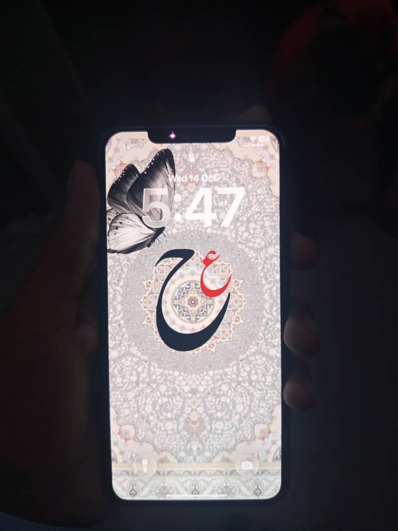 Apple iPhone 11 Pro Max 1