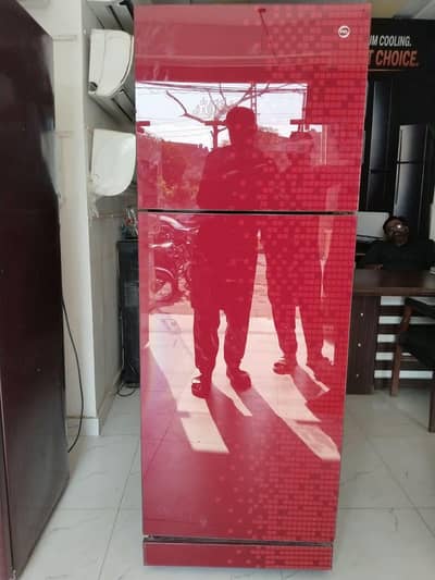 PEL large size energy saving class door fridge/0321/0833328/