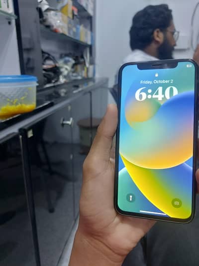 Apple iPhone X