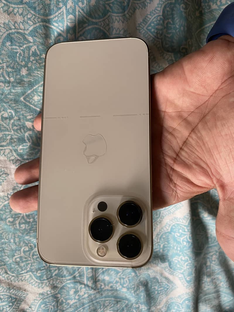 Apple iPhone 13 Pro 1