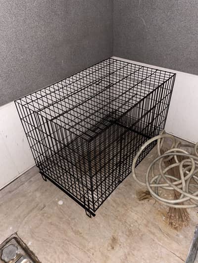 dog cage