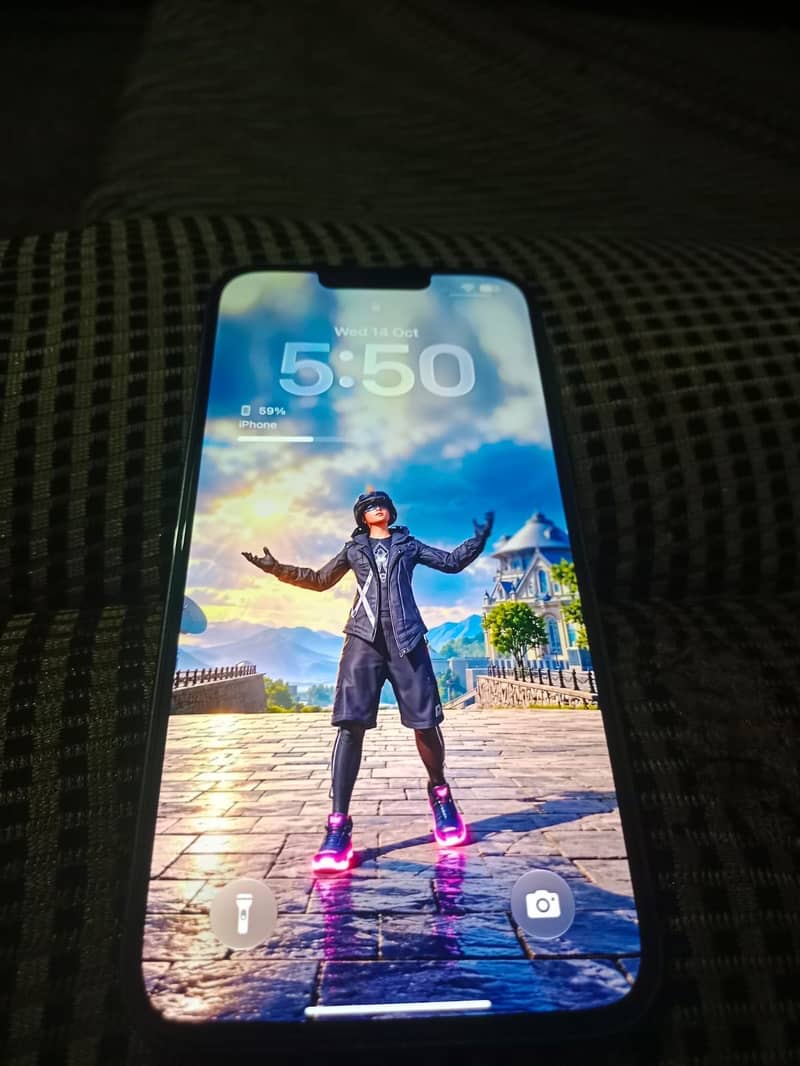 Apple iPhone 13 Pro Max 1