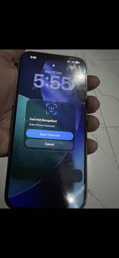 Apple iPhone 13 Pro Max