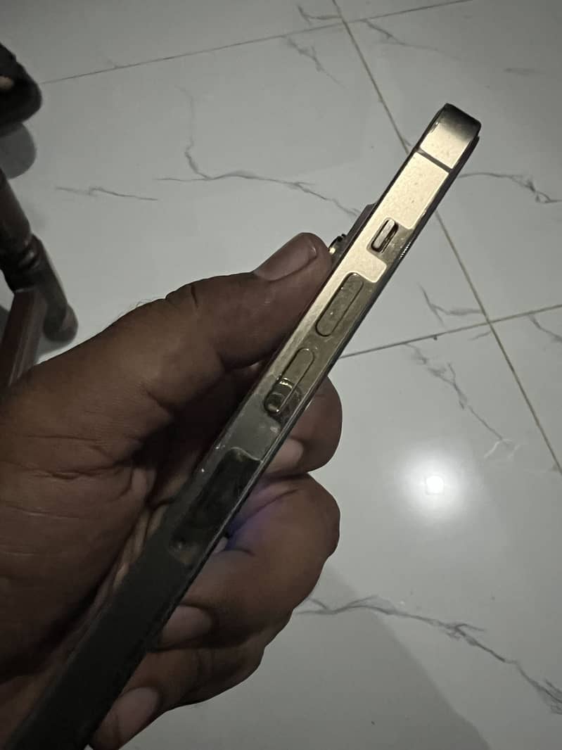 Apple iPhone 13 Pro Max 2