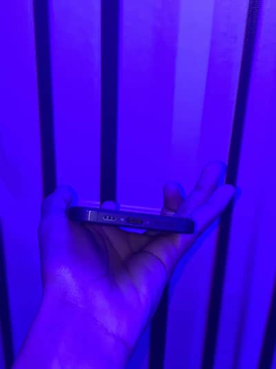 Apple iPhone 16