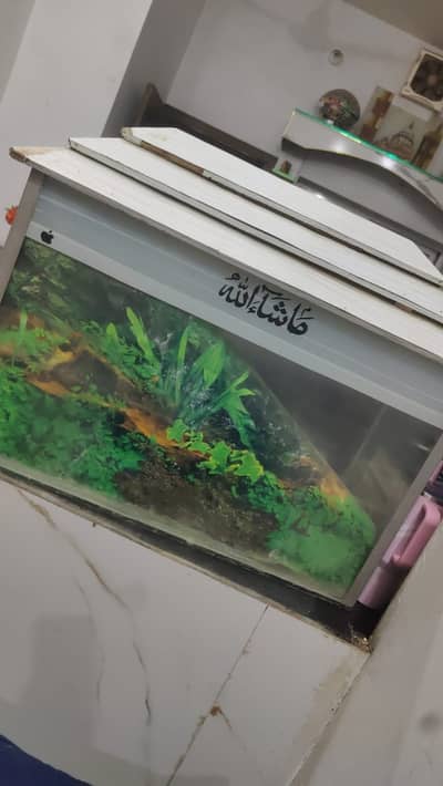 Aquariums | Fish Home \ Aquarium urgent sale