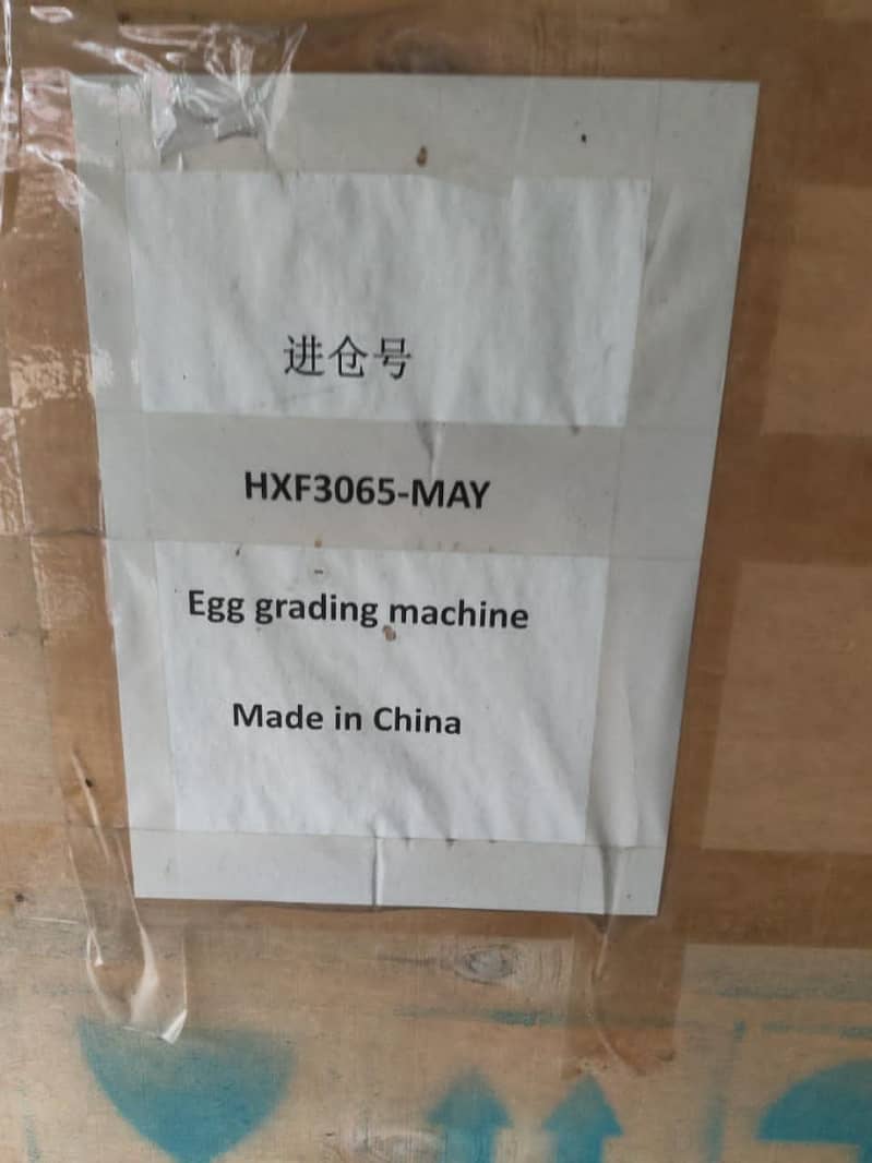 Egg Grading Machine 1