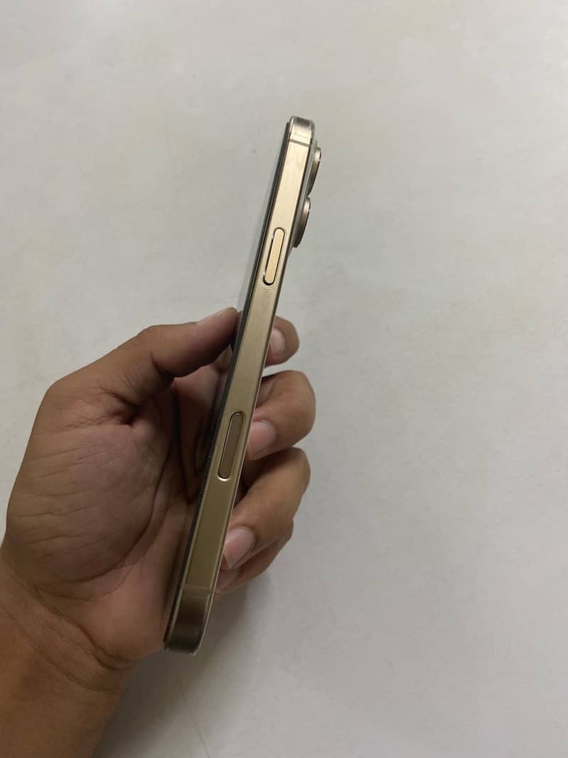Apple iPhone 16 Pro Max 1