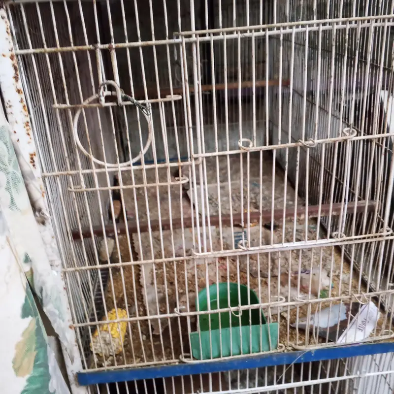 cage 2.5/3.5 ka size — photo 2