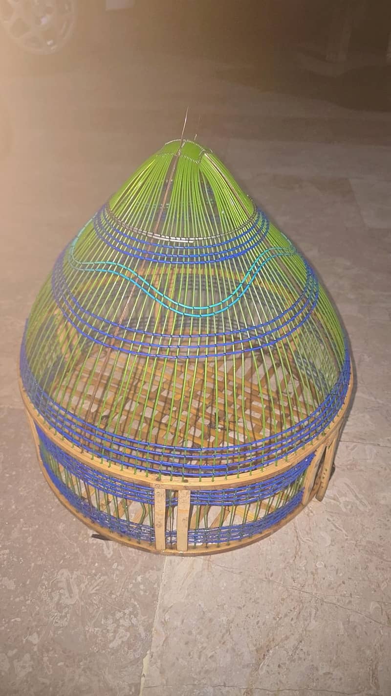bird cage 1
