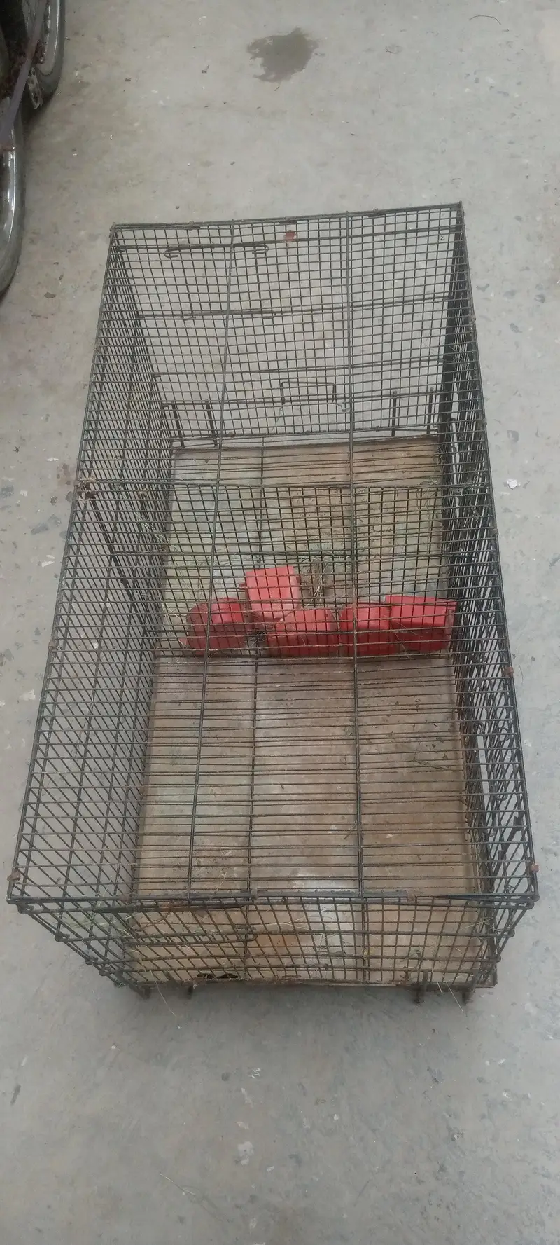 cages for sale — photo 2