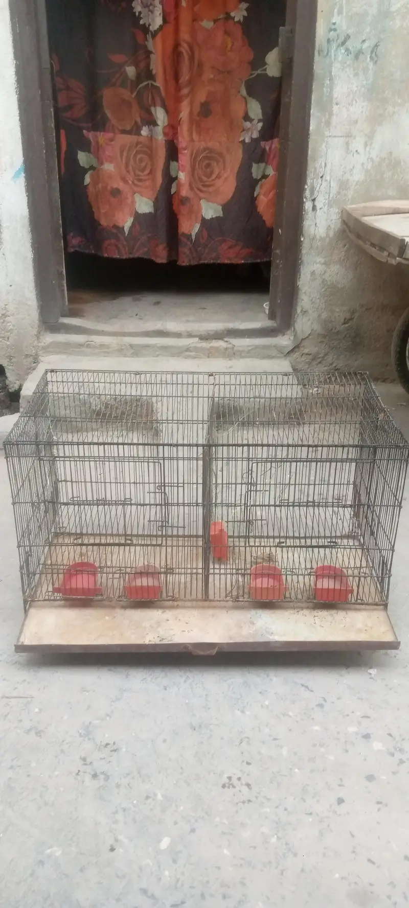 cages for sale — photo 3