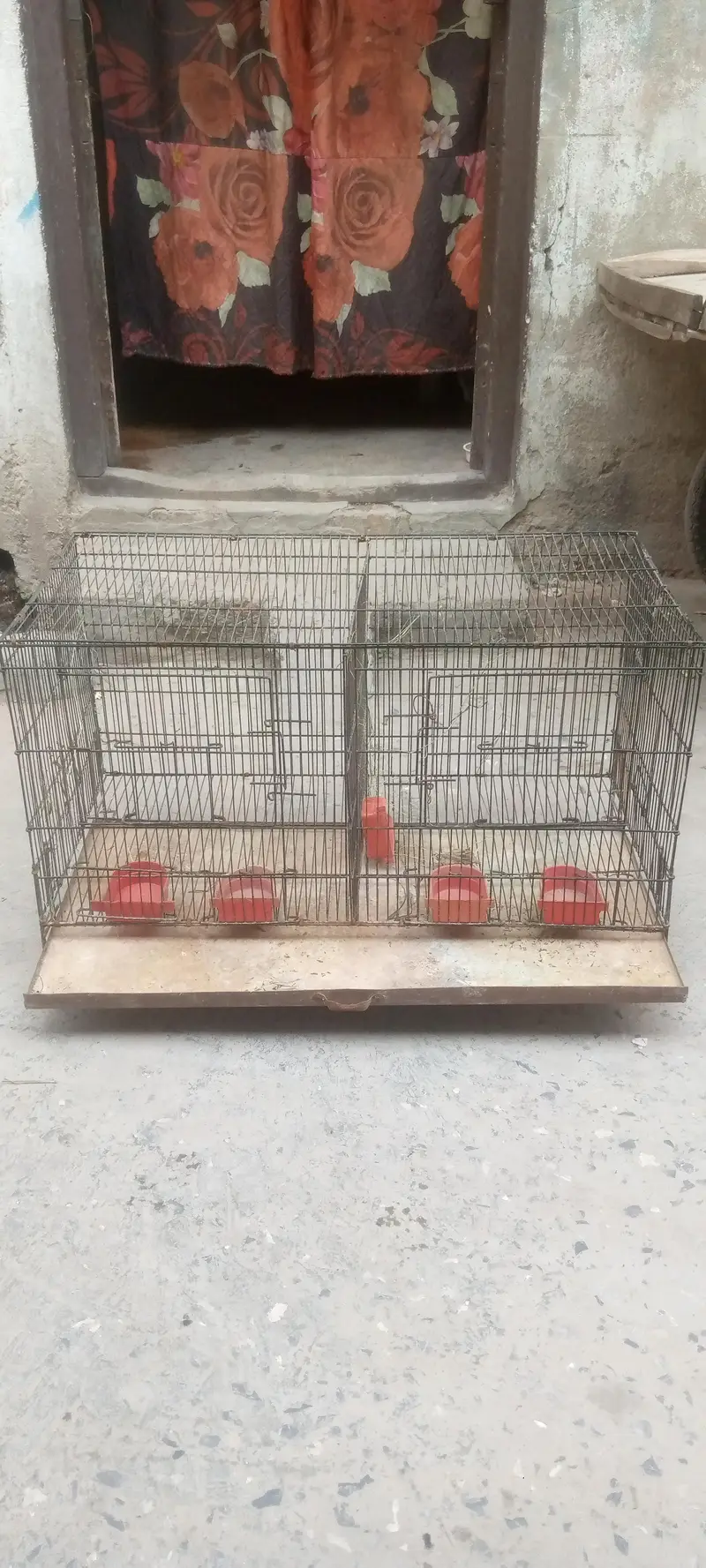 cages for sale — photo 4