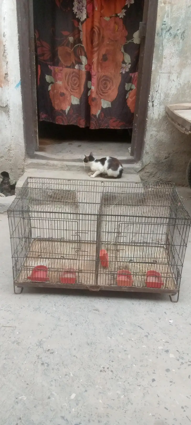 cages for sale — photo 5