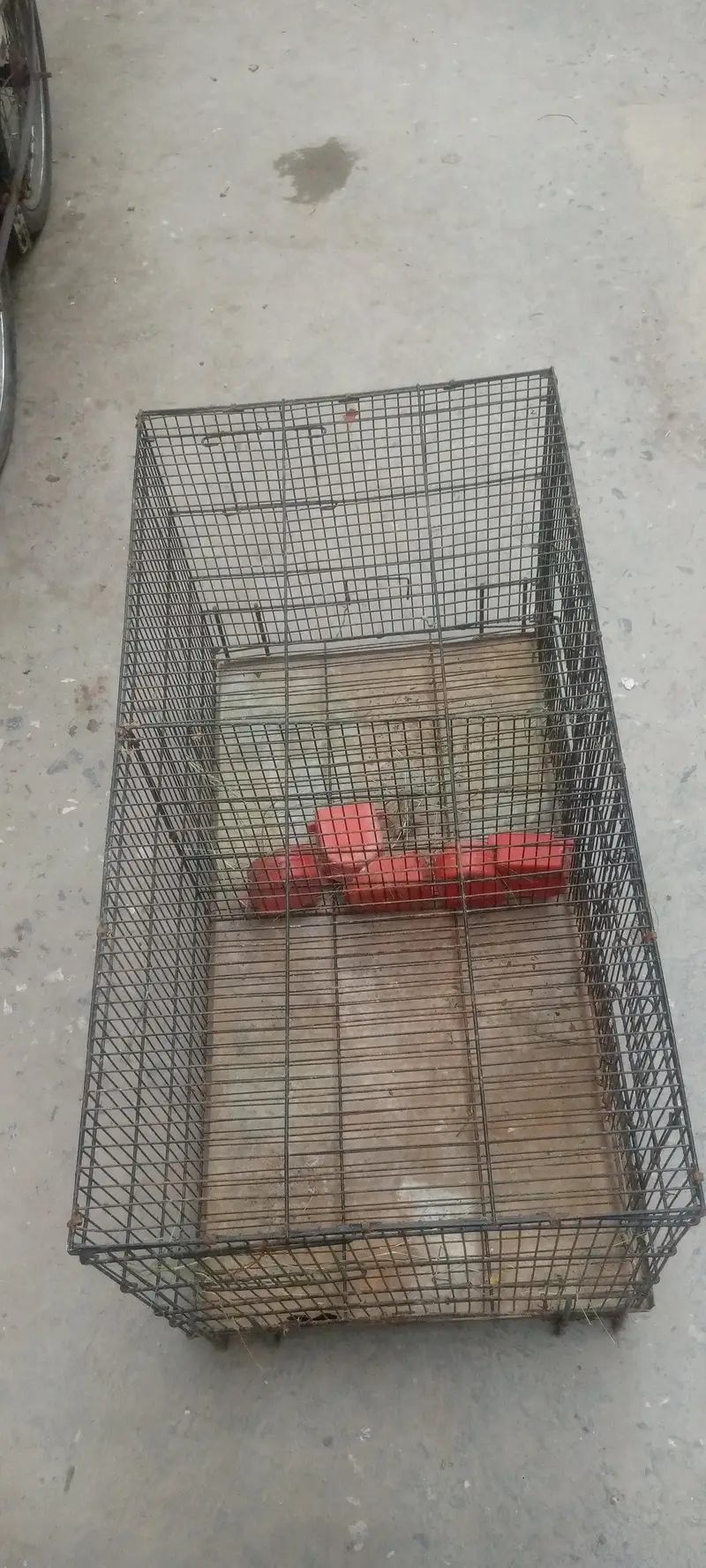 cages for sale — photo 6