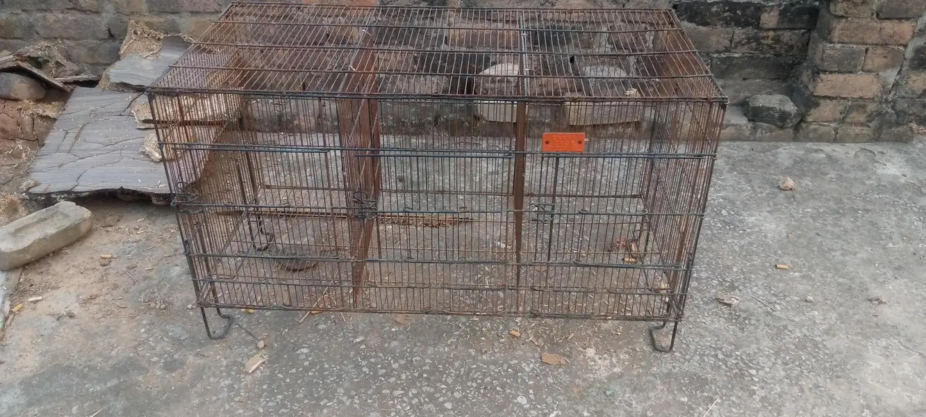cages for sale — photo 11