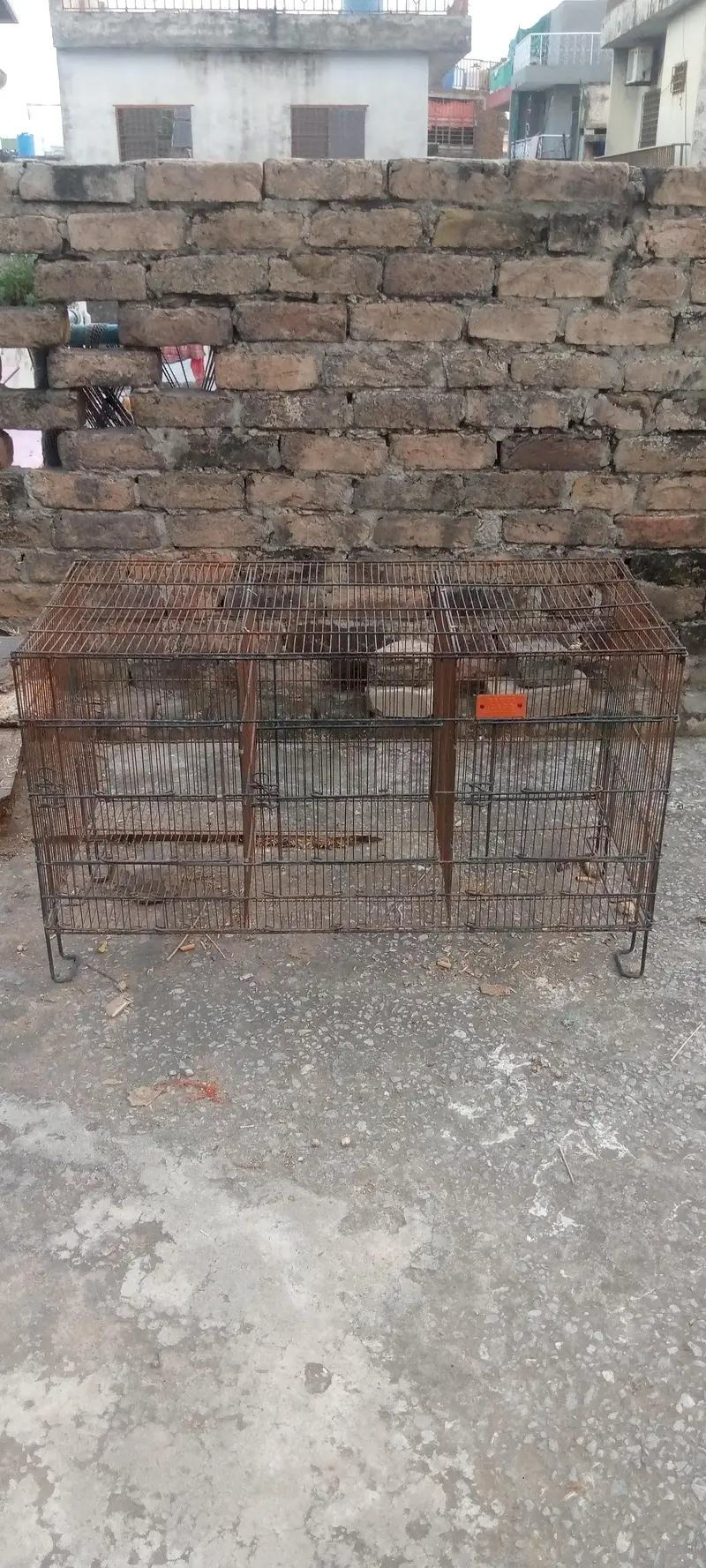 cages for sale — photo 12