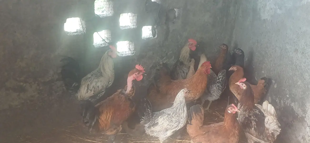 15piece of male and female — photo 2