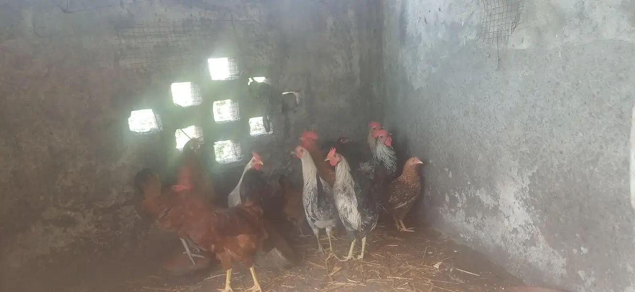 15piece of male and female — photo 3