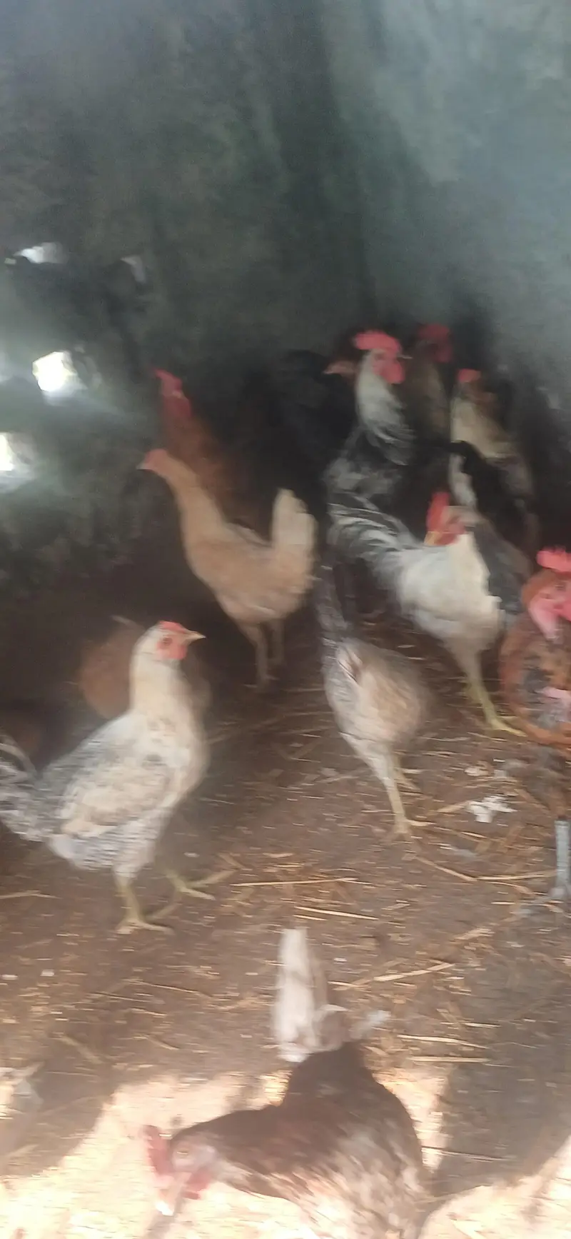 15piece of male and female — photo 5